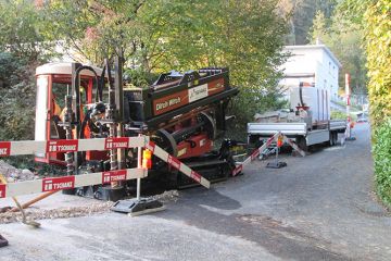 IMG 0018